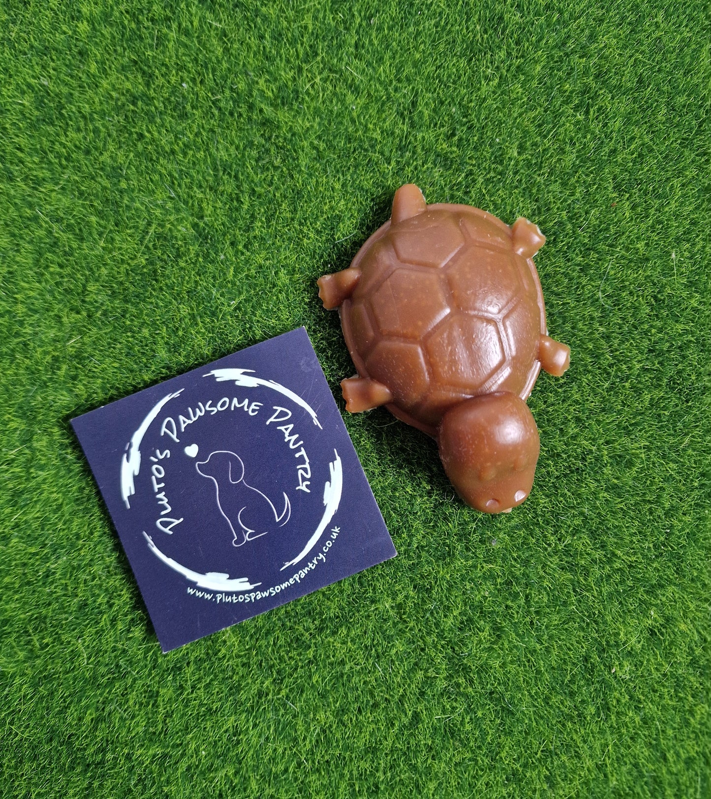 Veggie Peanut butter turtle🥜