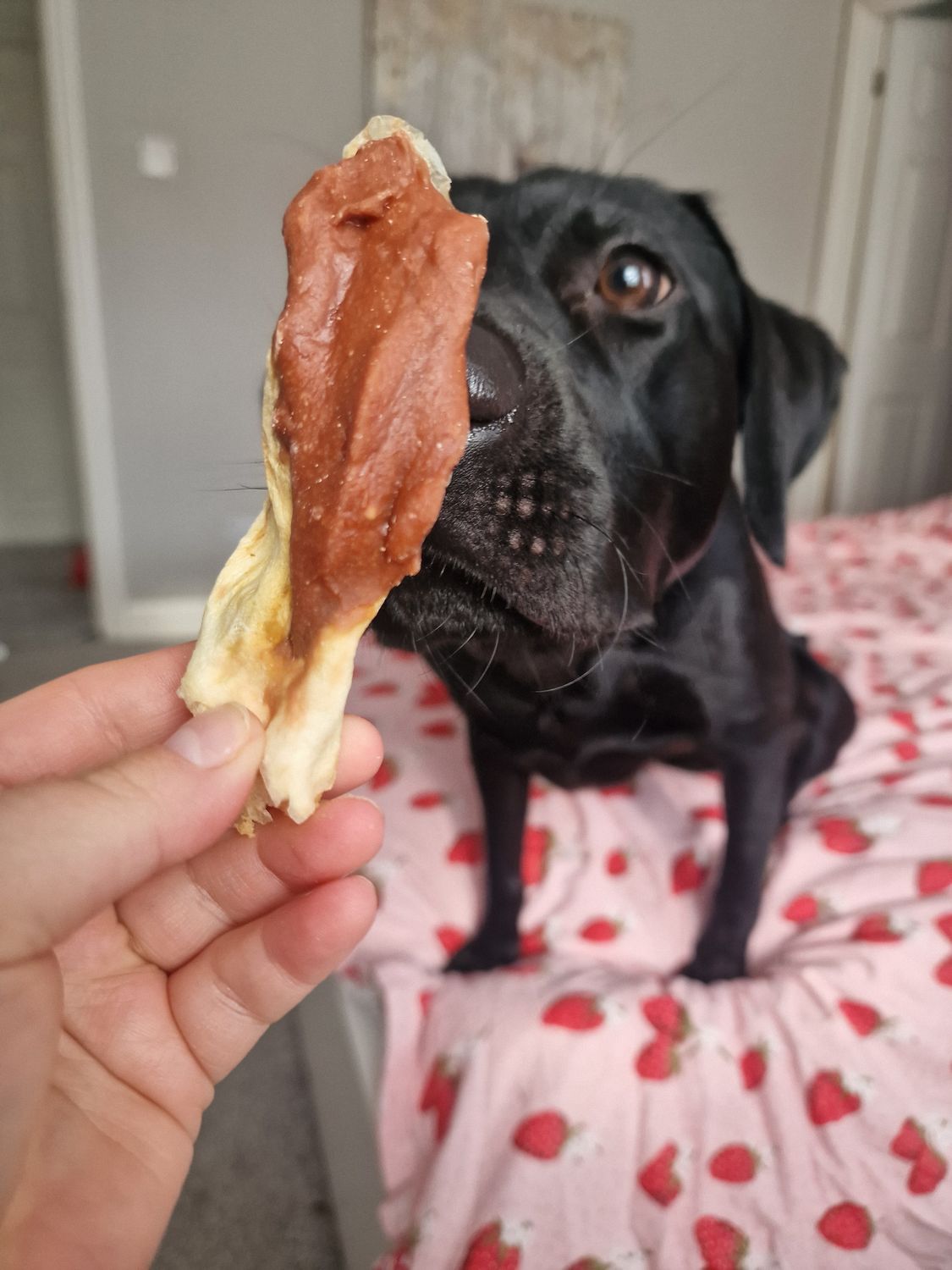 Duck Breast Wrapped Rabbit Ears š¦