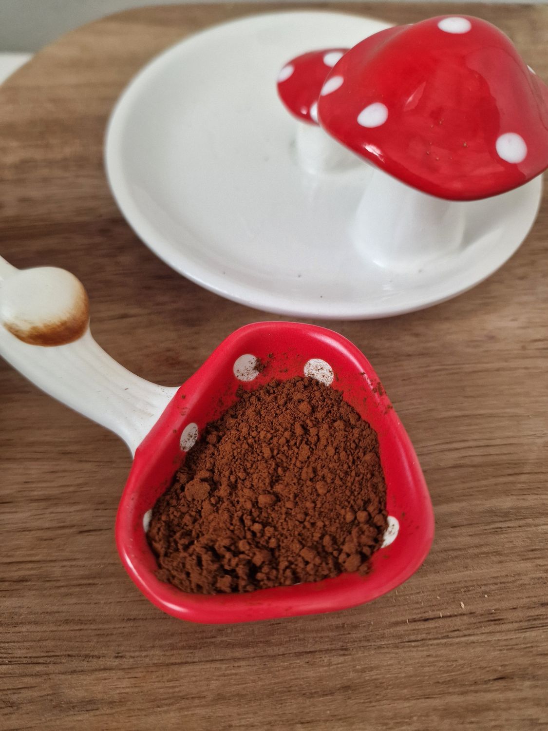 Chaga mushroom powder 10g