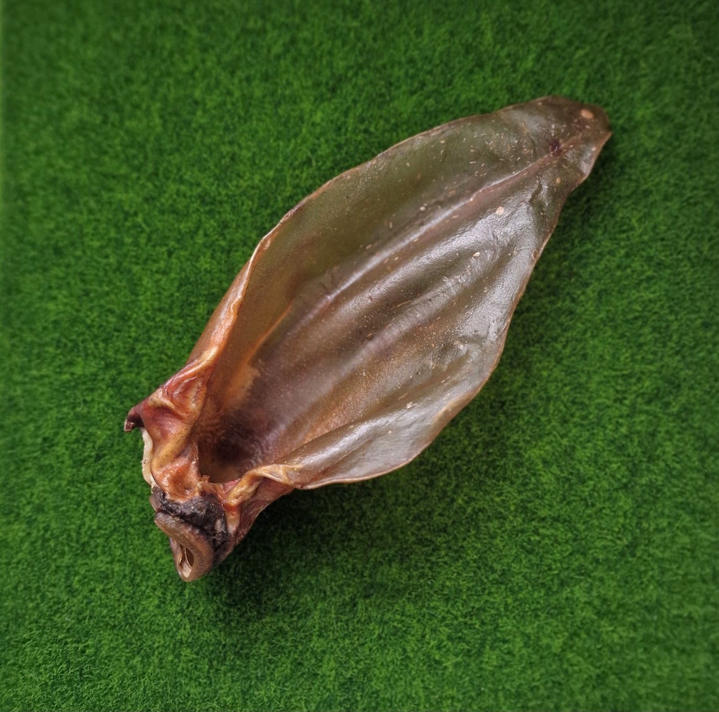 Meaty Buffalo Ears - Extra large