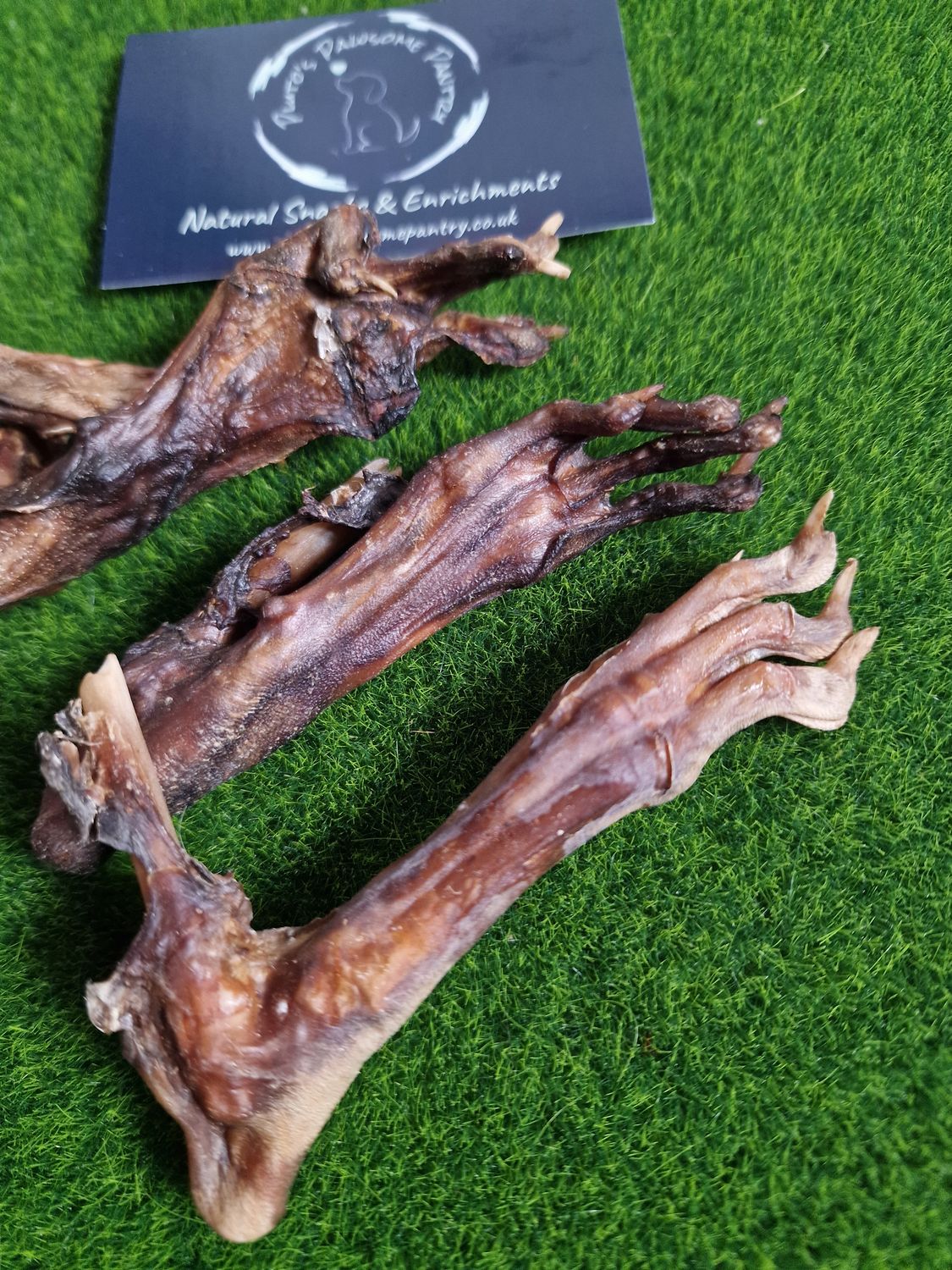 Anco hairless rabbit feet x3š°š