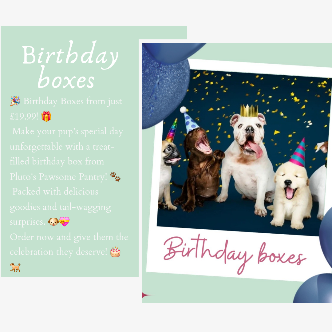 Birthday boxes