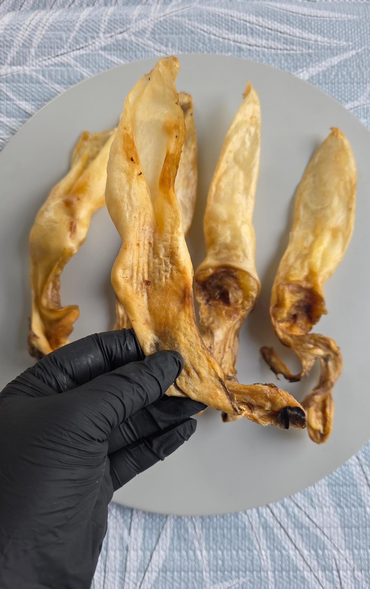 Rabbit ears (no hair)