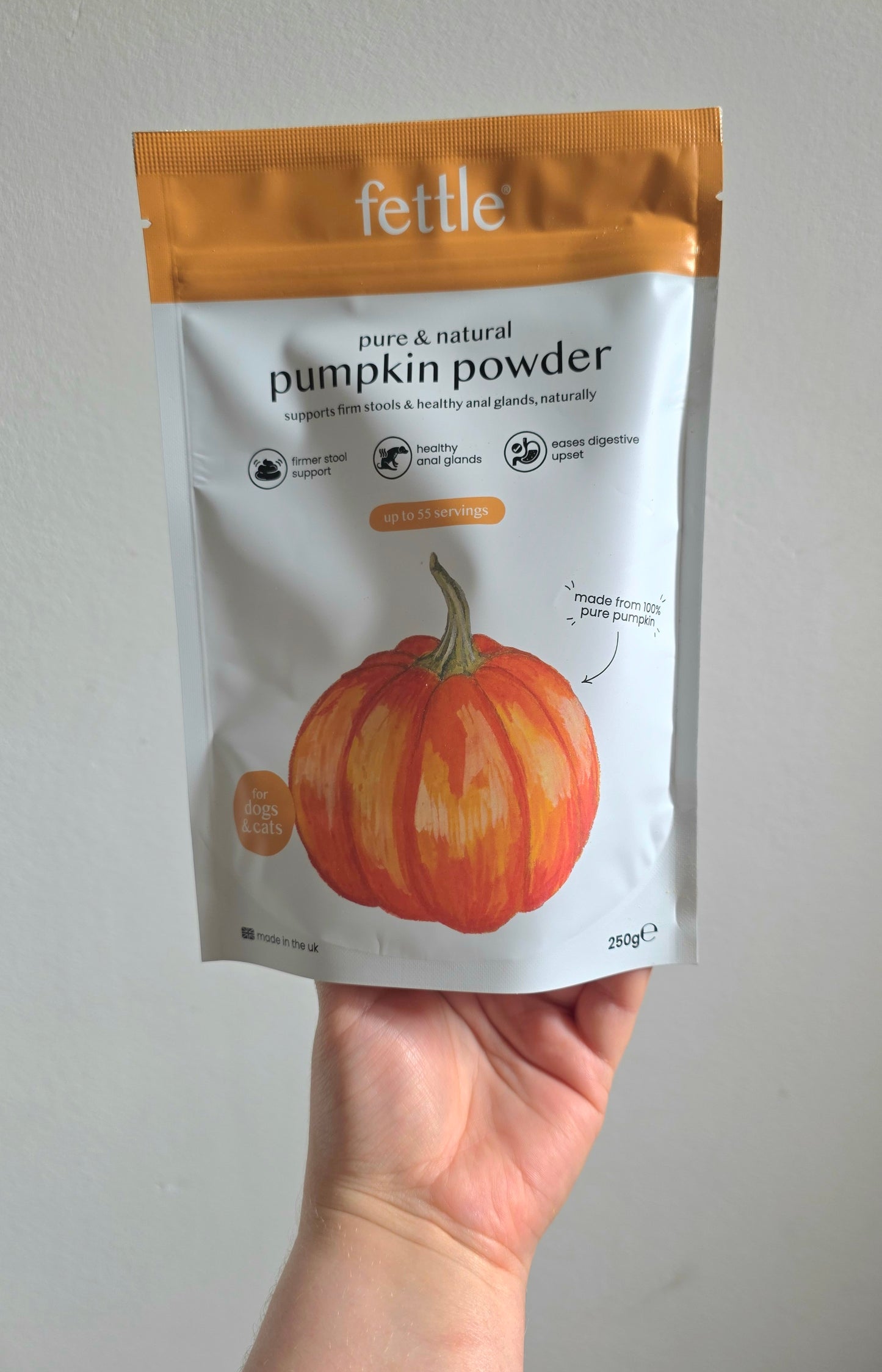 Fettle Pumpkin powder