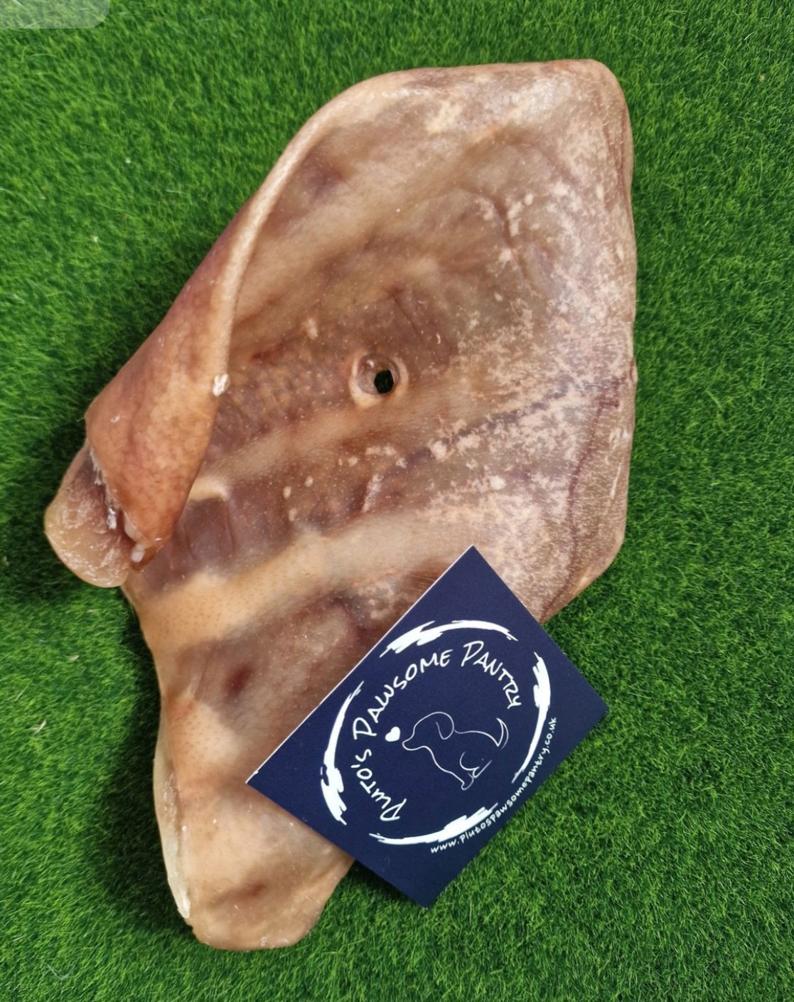 XL pork pigs ear
