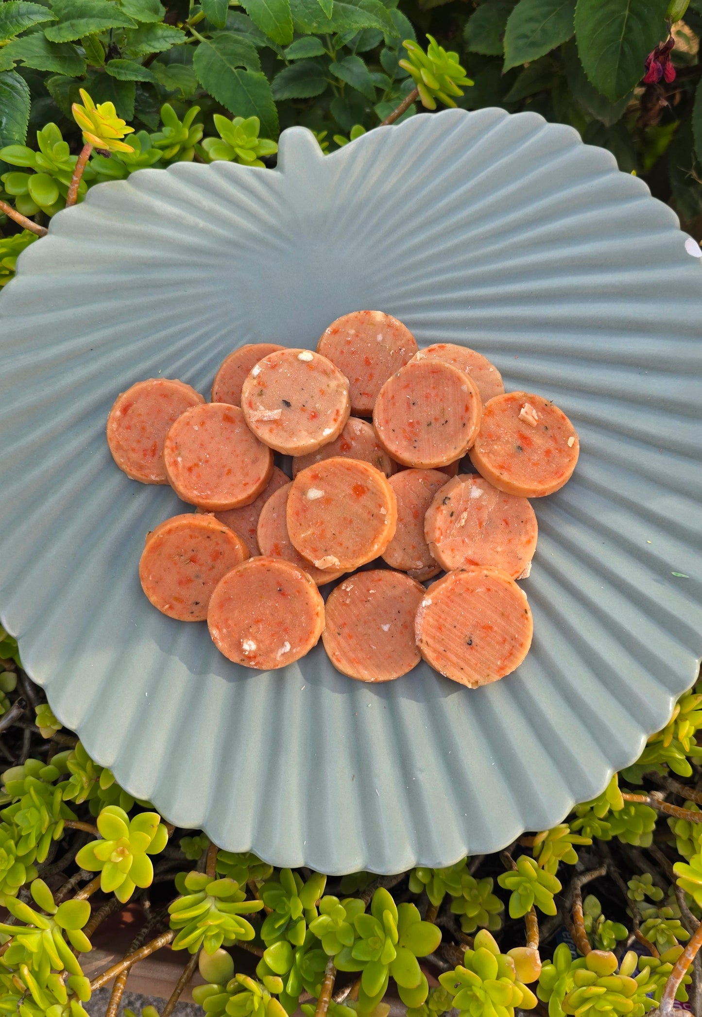 Veggie pizza bites ππ₯¦π