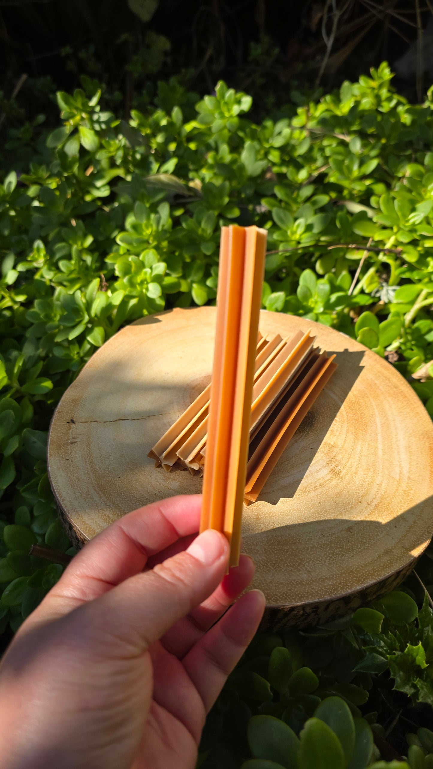 Peanut butter & chicken dental chew