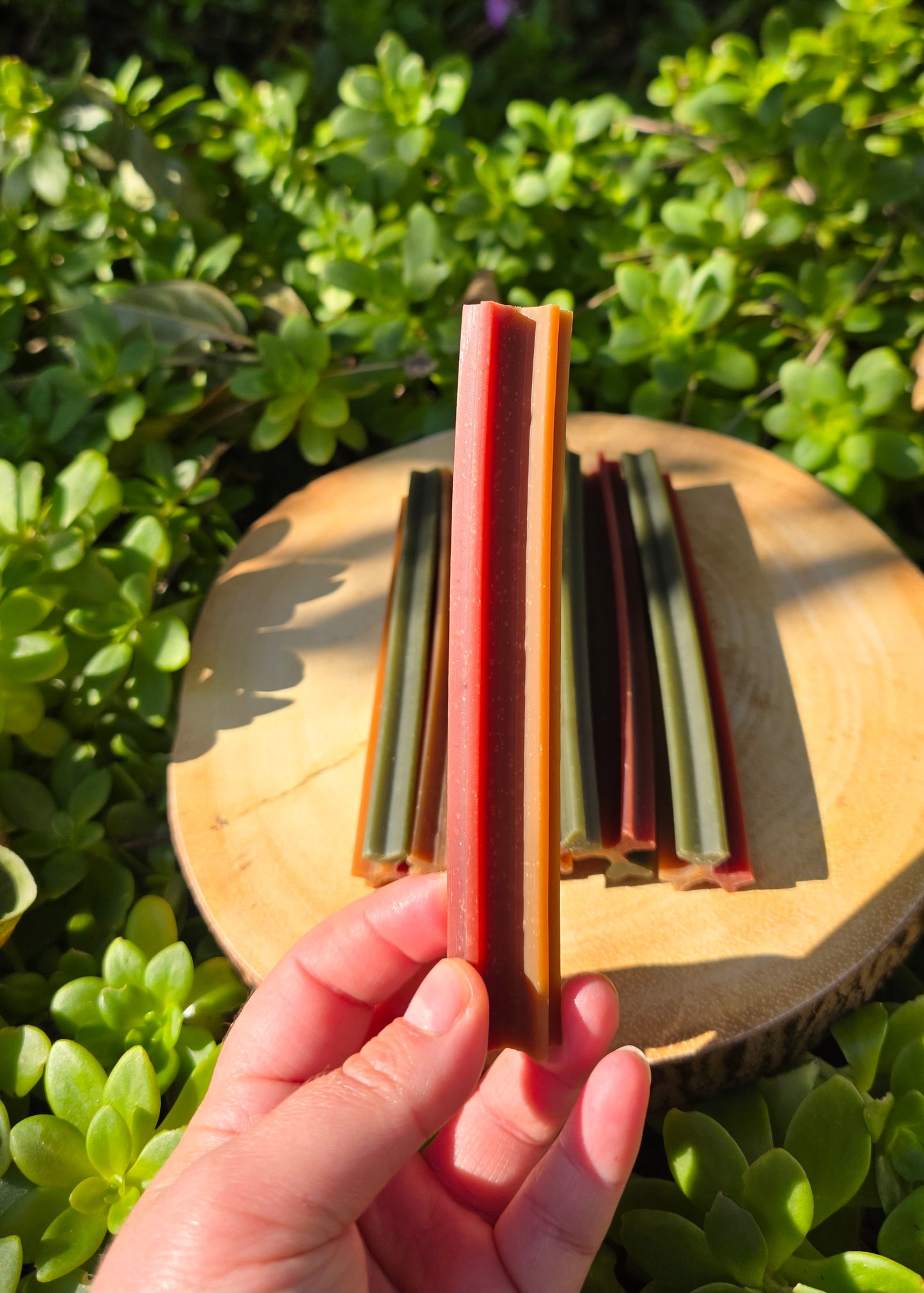 Chicken & Mint dental chew