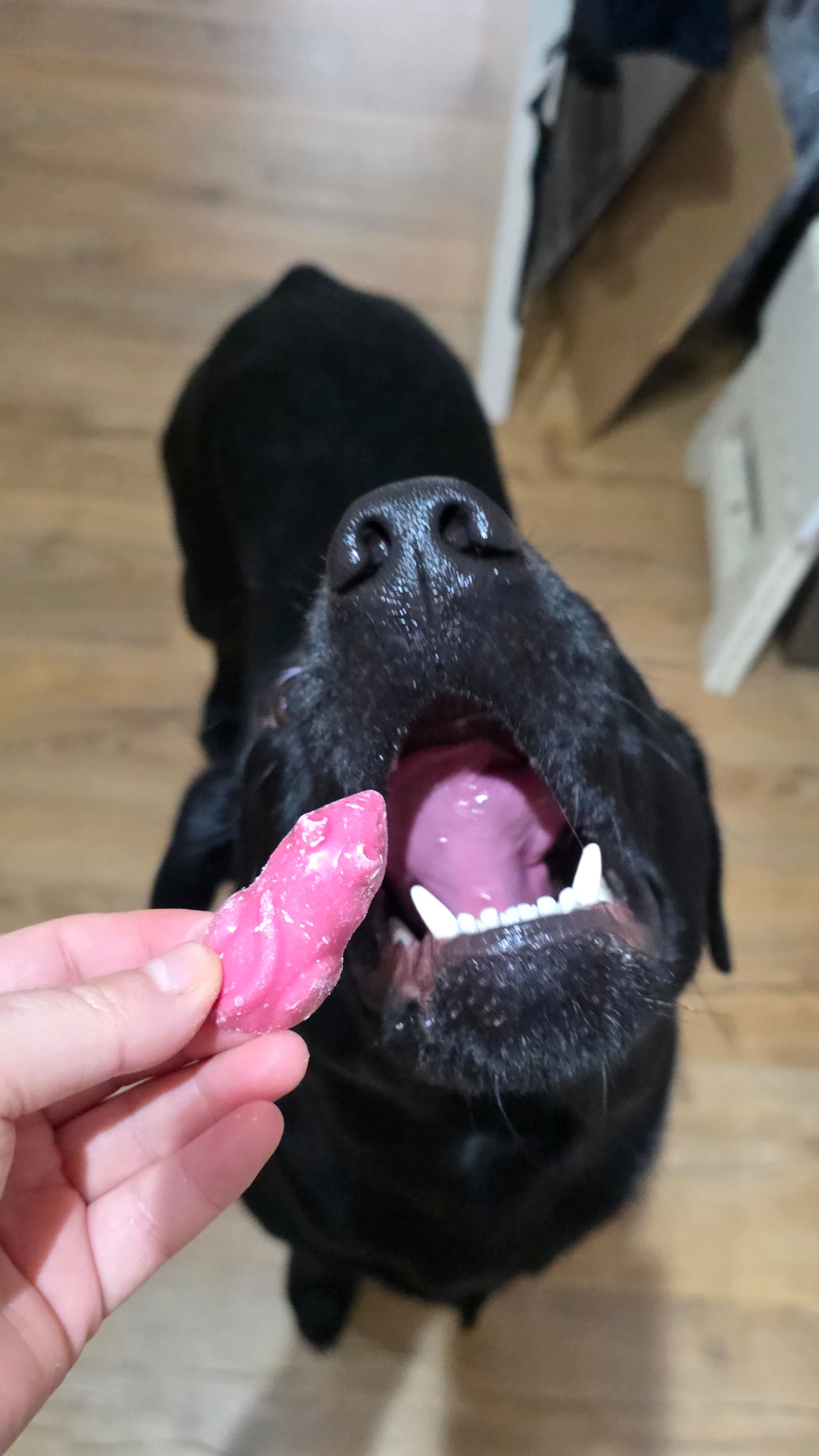 Sweetheart Choco Bag 200g