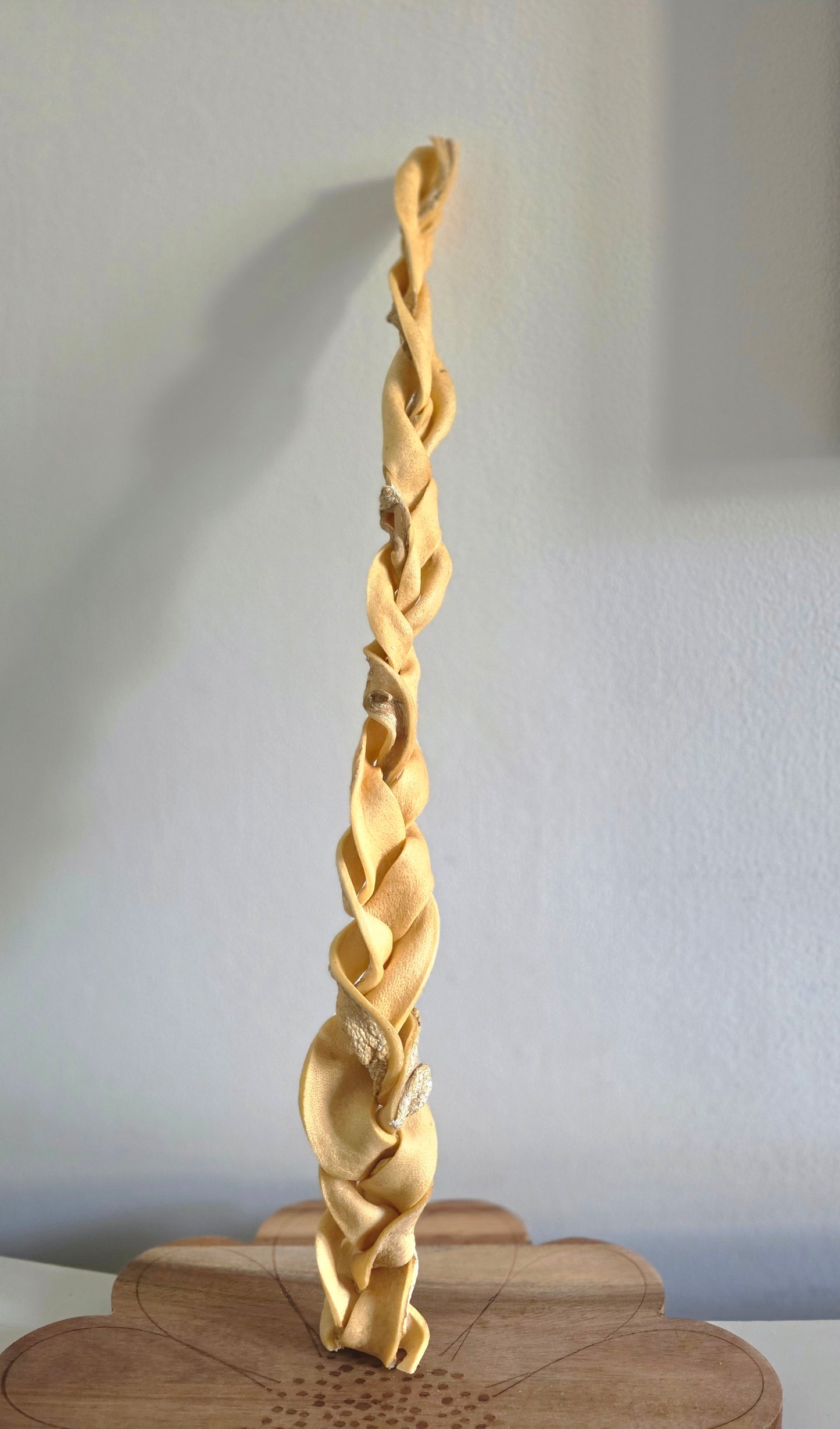 Jumbo beef skin braid 50cm