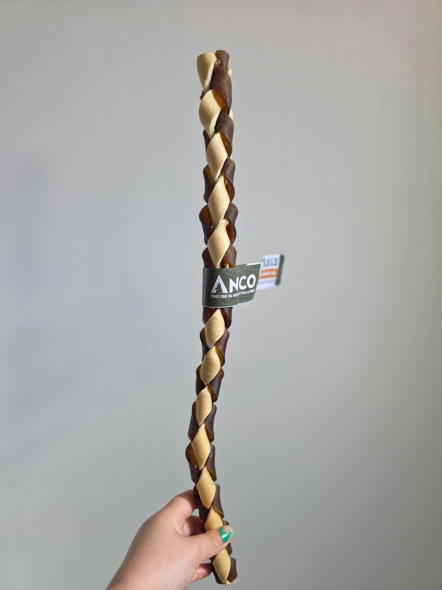 Giant camel & Beef braid