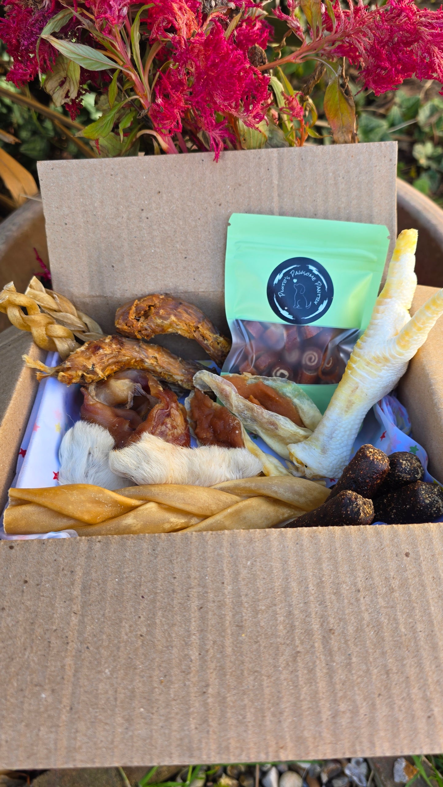 Puppy Delights bundle