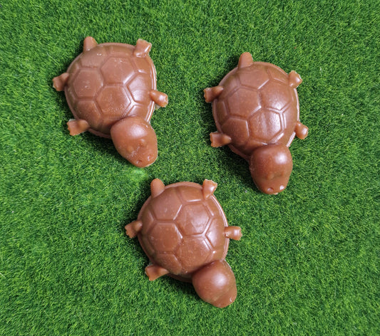 Veggie Peanut butter turle🥜