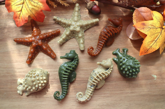 Sea creatures veggie (small)