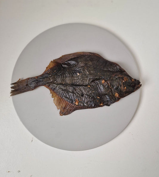Large Flounder Fish