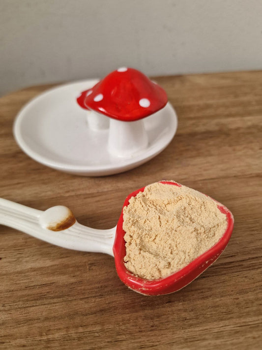 Lions mane mushroom powder 10g