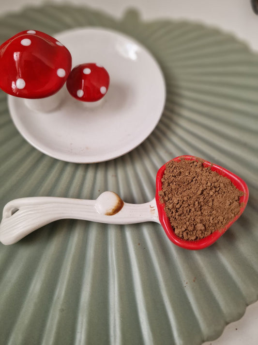 Reishi mushroom powder (10g)
