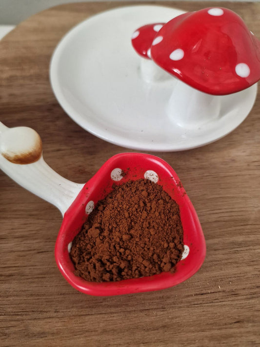 Chaga mushroom powder 10g