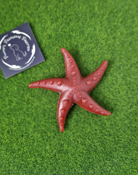 Veggie & Fruit starfish chew - Apple & Mint🍎🌿