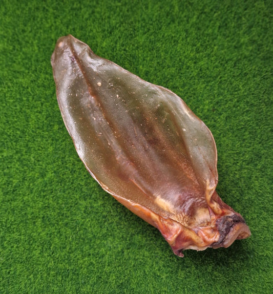 Meaty Buffalo Ears - Extra large