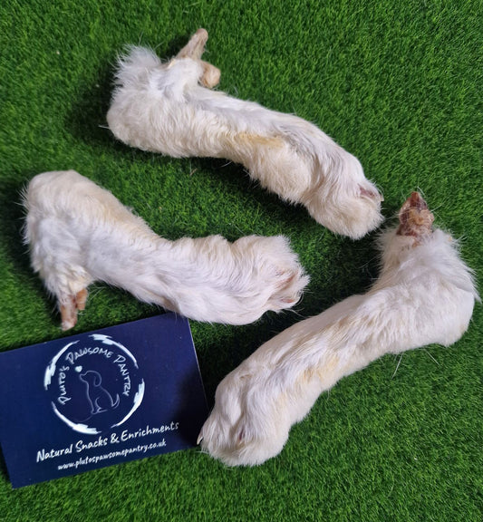 Rabbit feet with fur🐰🐇