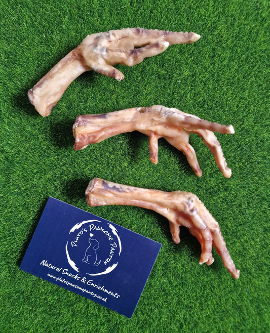 Anco Chicken feet x3🐔