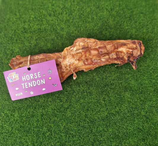 Horse Tendon