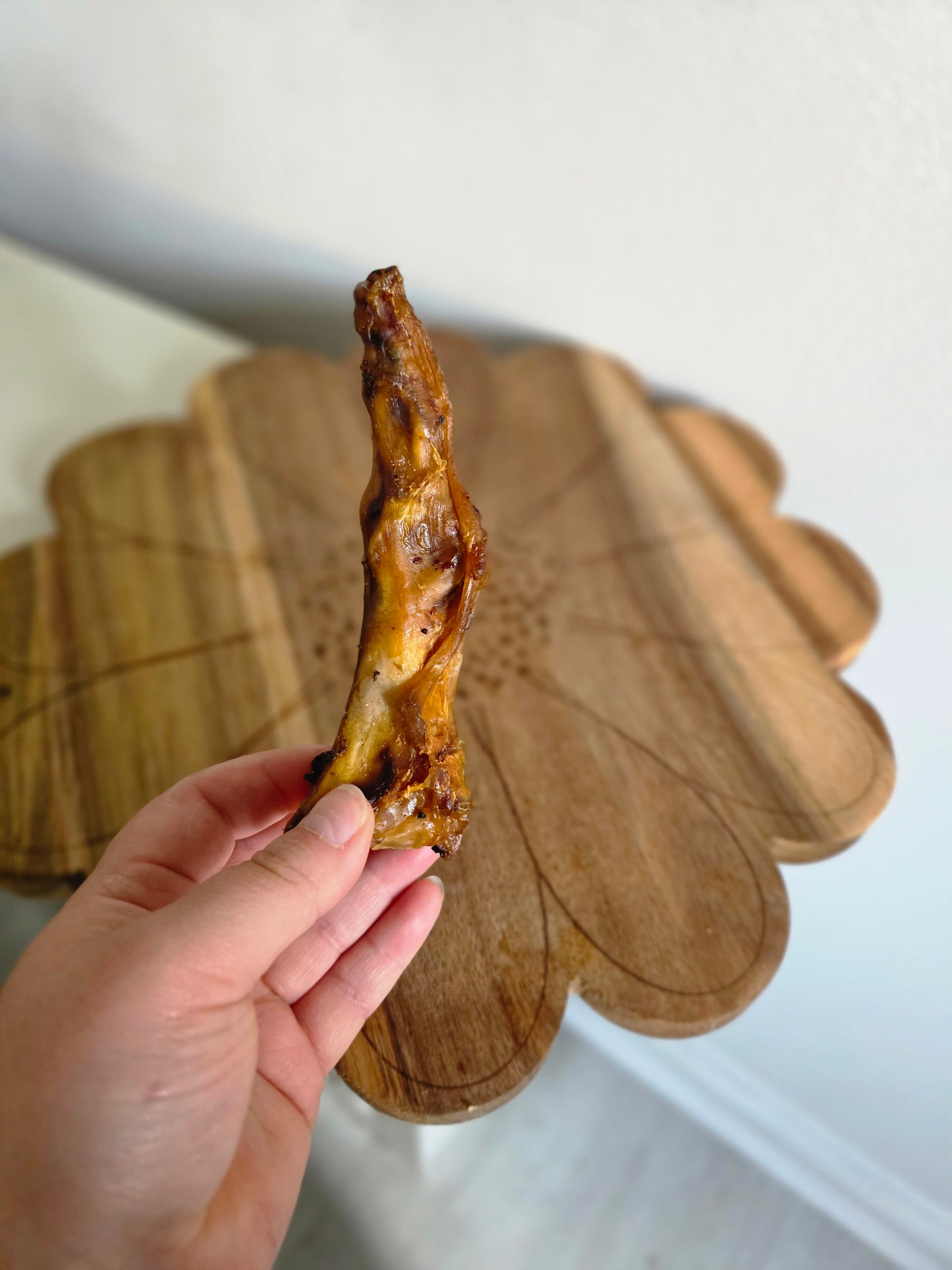 Ostrich foot - Small