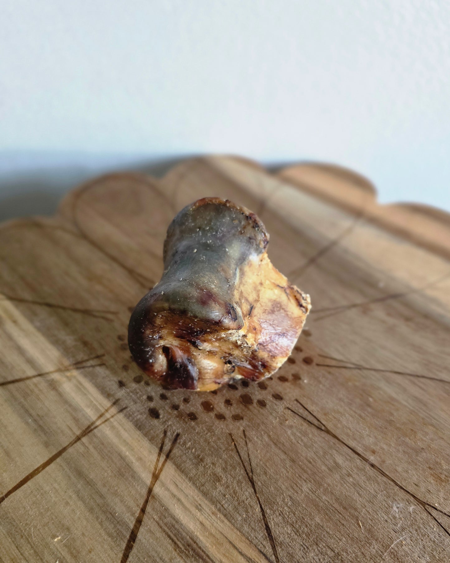 Ostrich knuckle