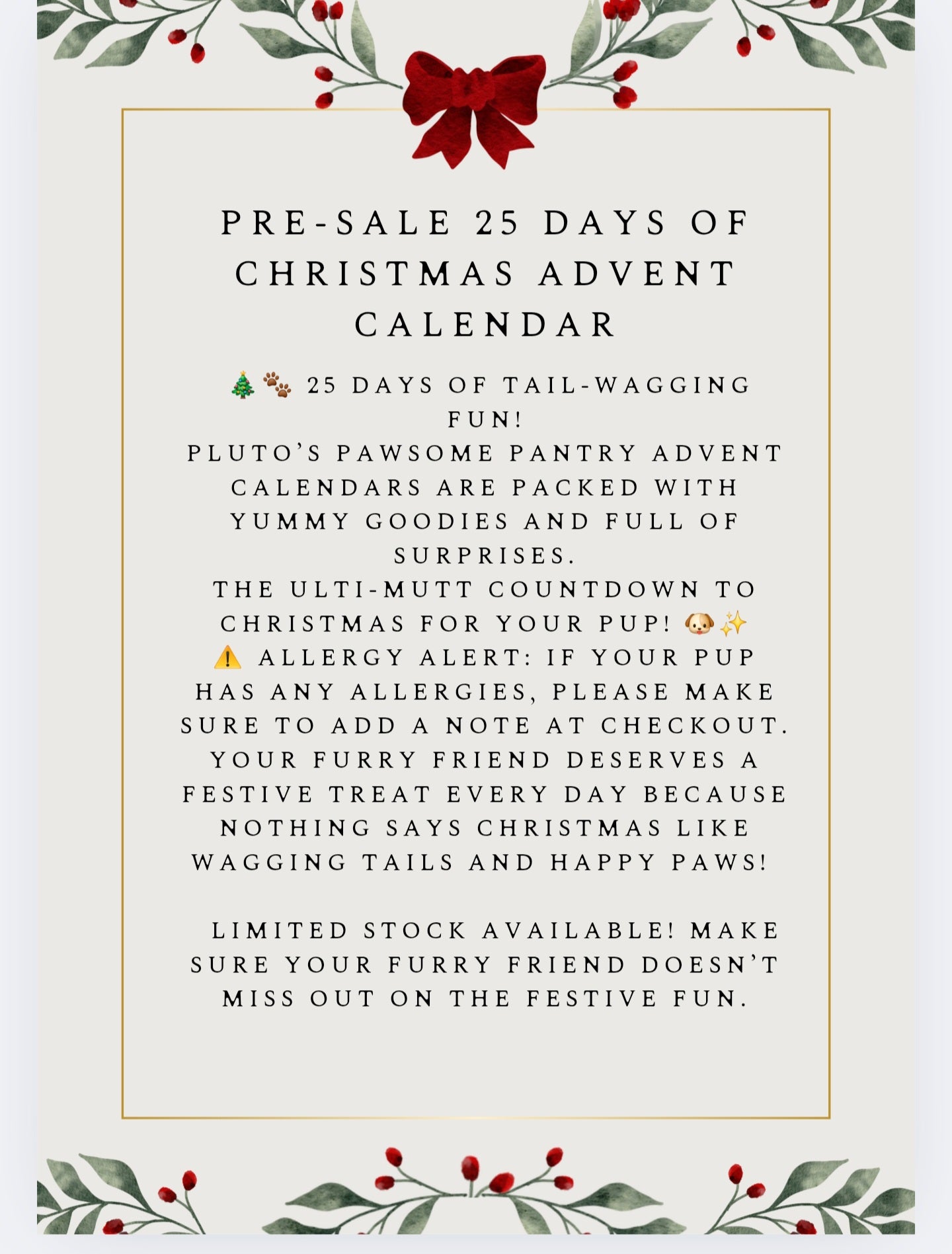 PRE SALE 25 DAYS OF CHRISTMAS ADVENT CALENDAR ! LIMITED STOCK!