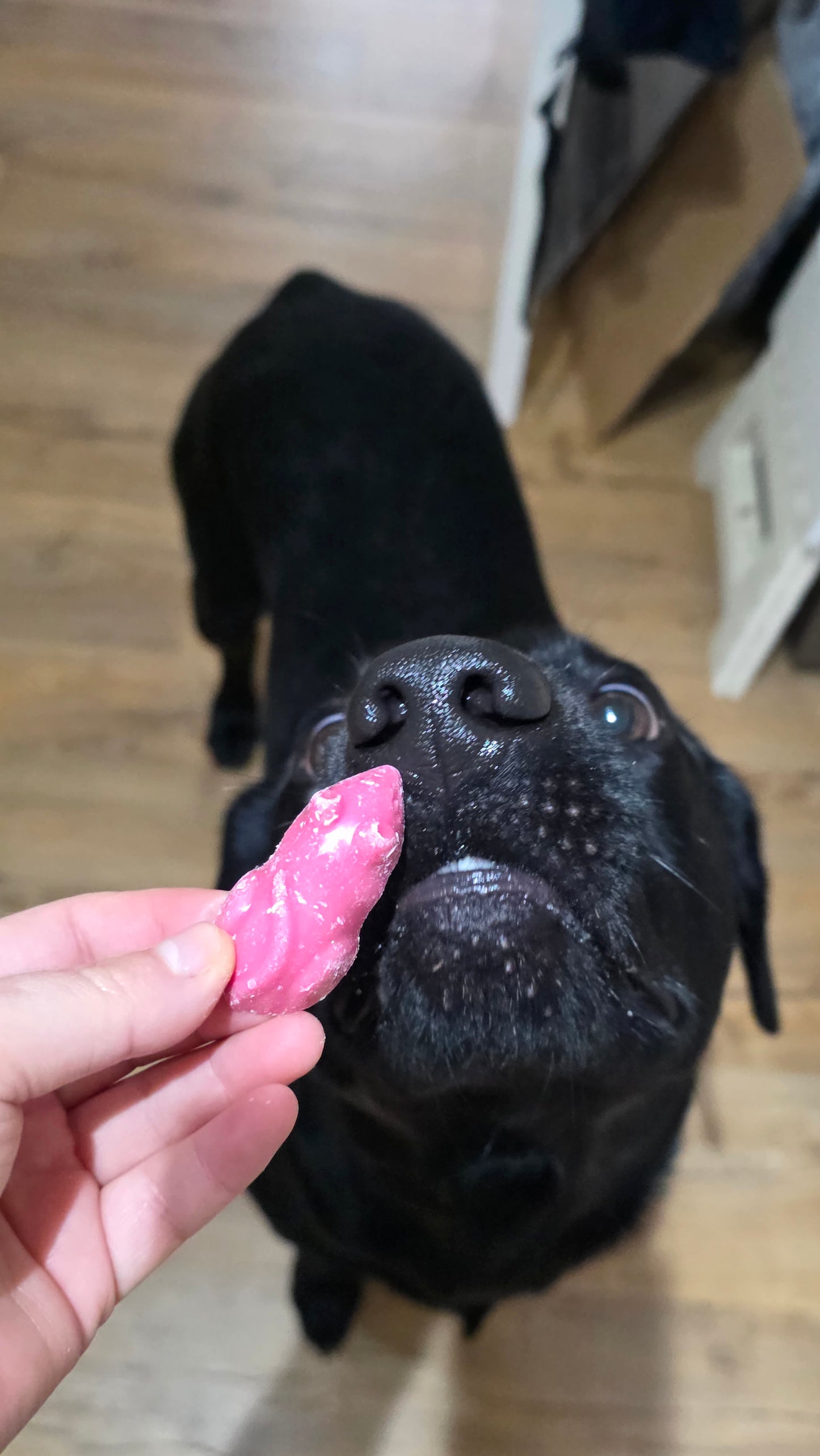 Sweetheart Choco Bag 200g