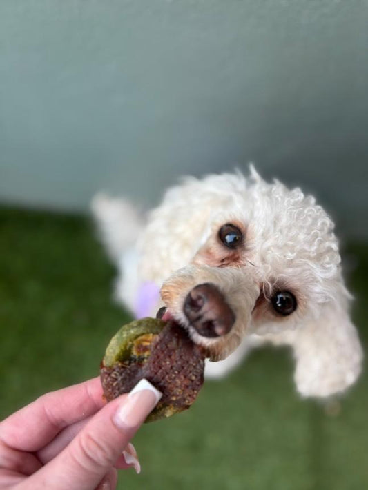 Kiwi Chunks Wrapped Duck Breast 120g