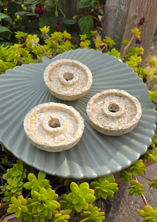 Buffalo collagen bagel 🥯 🦬🐃