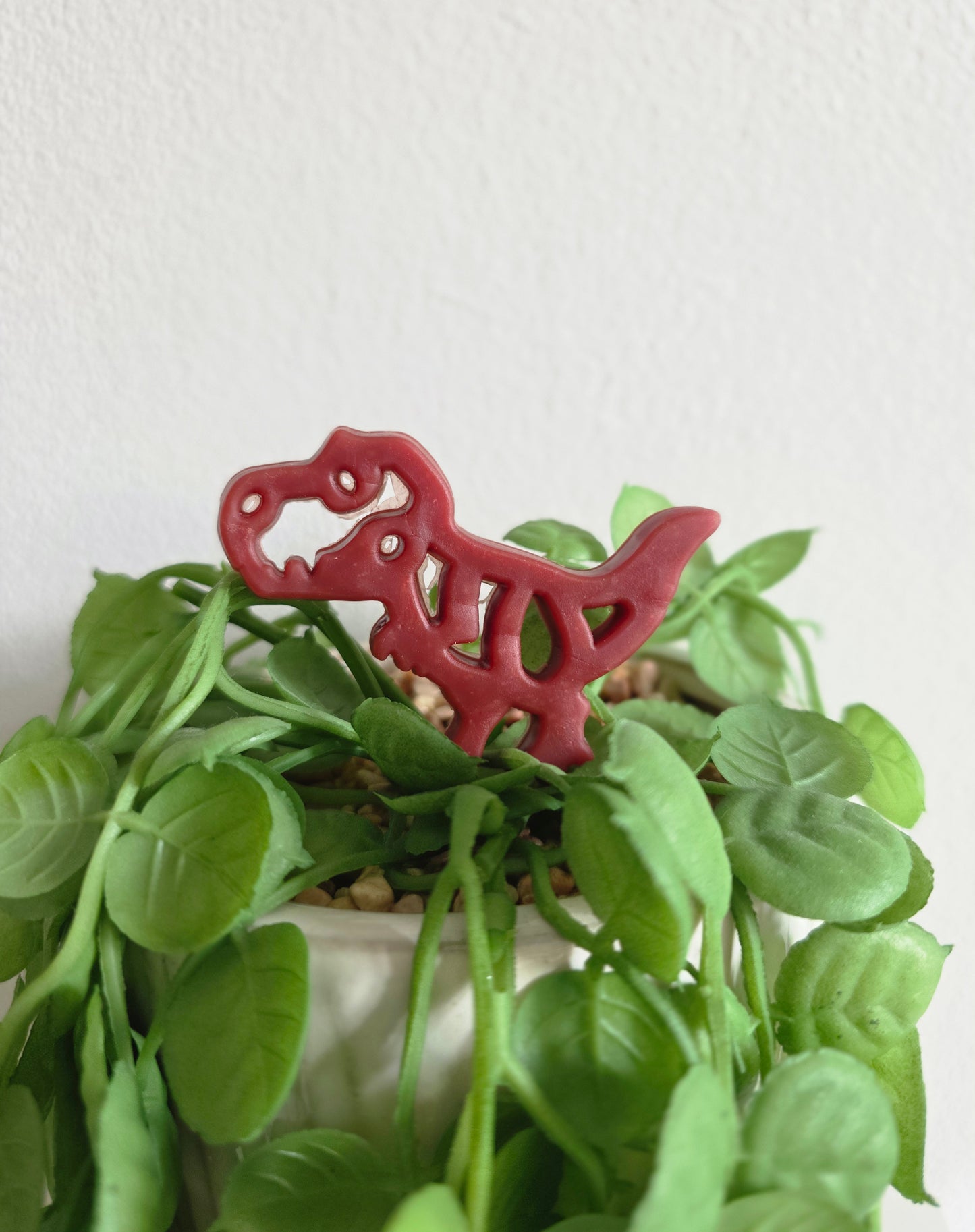 Recks-a-Saurus - Chicken & Cranberry