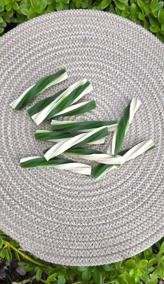 Mint & beef dental chew