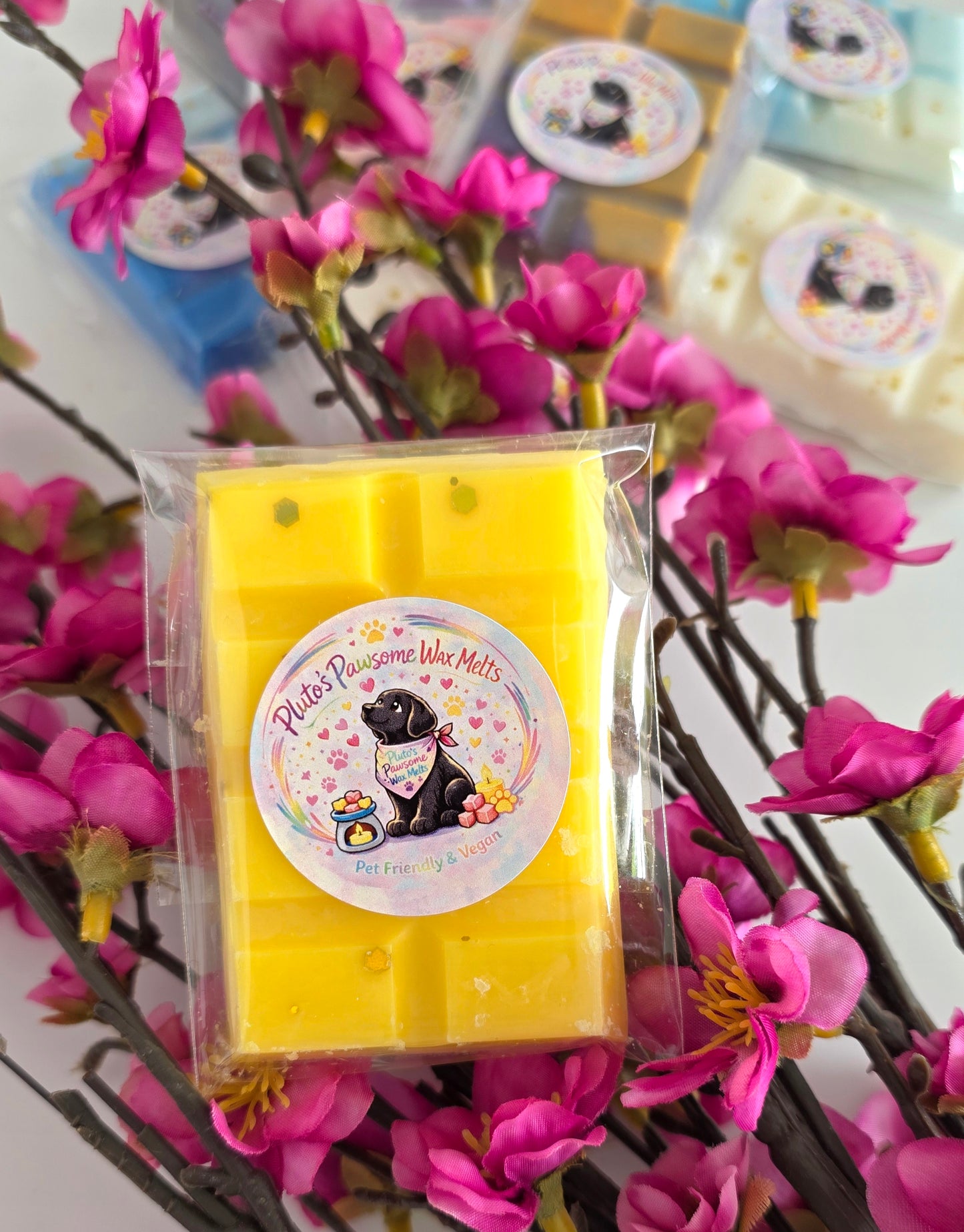 Pet friendly & Vegan Mini Wax Melts Snap Bars 25g each