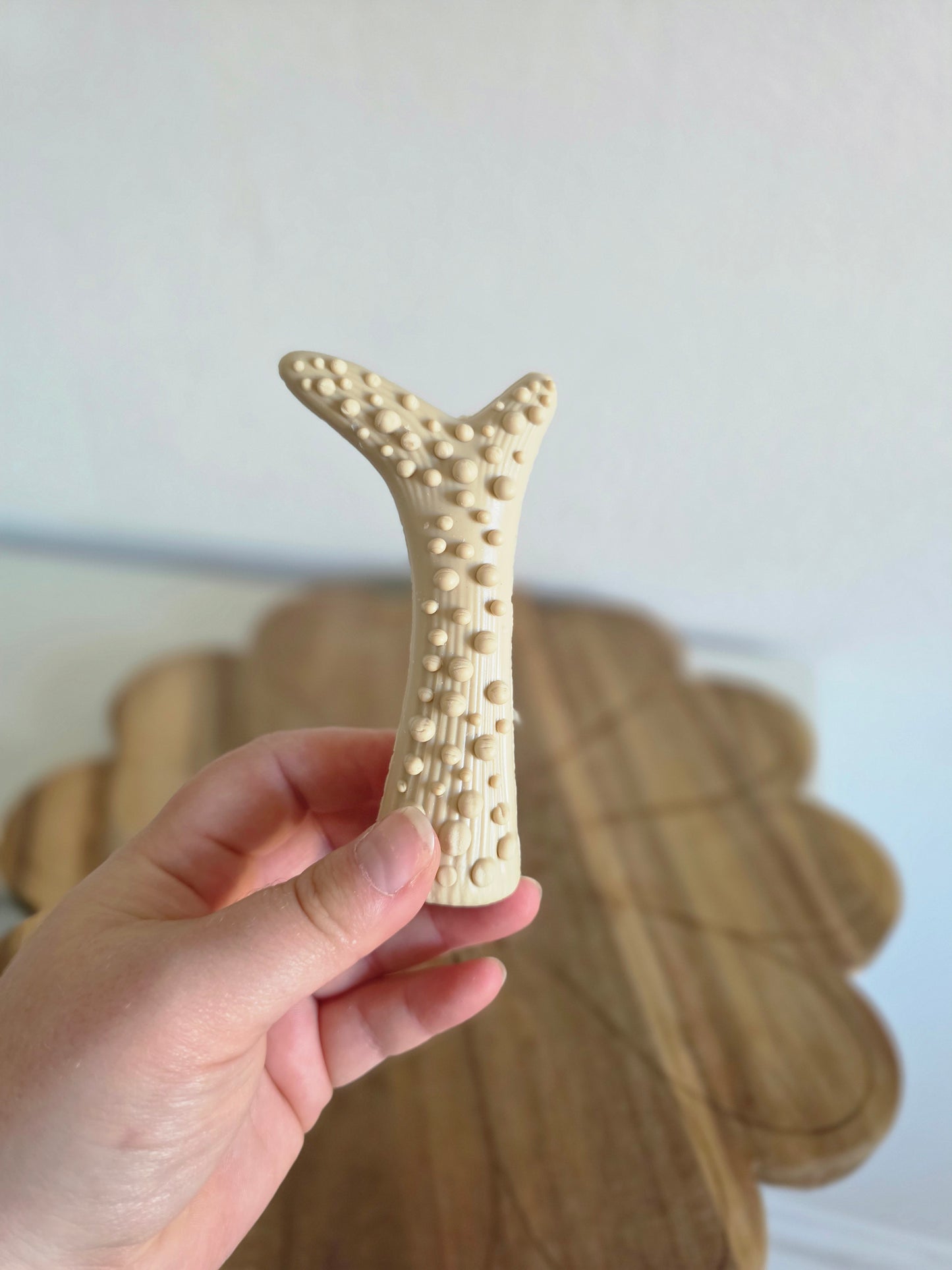 Peanut butter filled antler 🥜