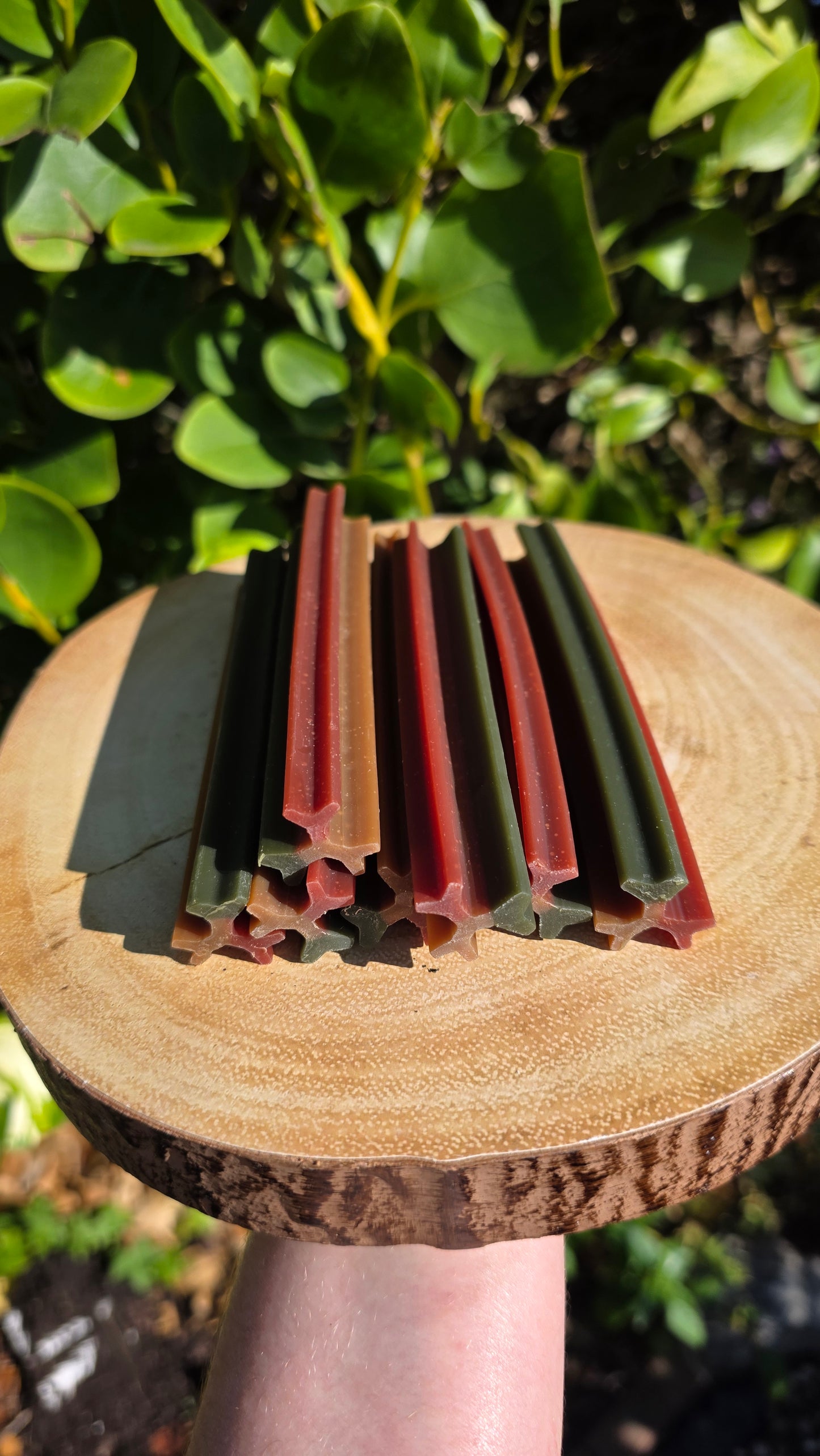 Chicken & Mint dental chew