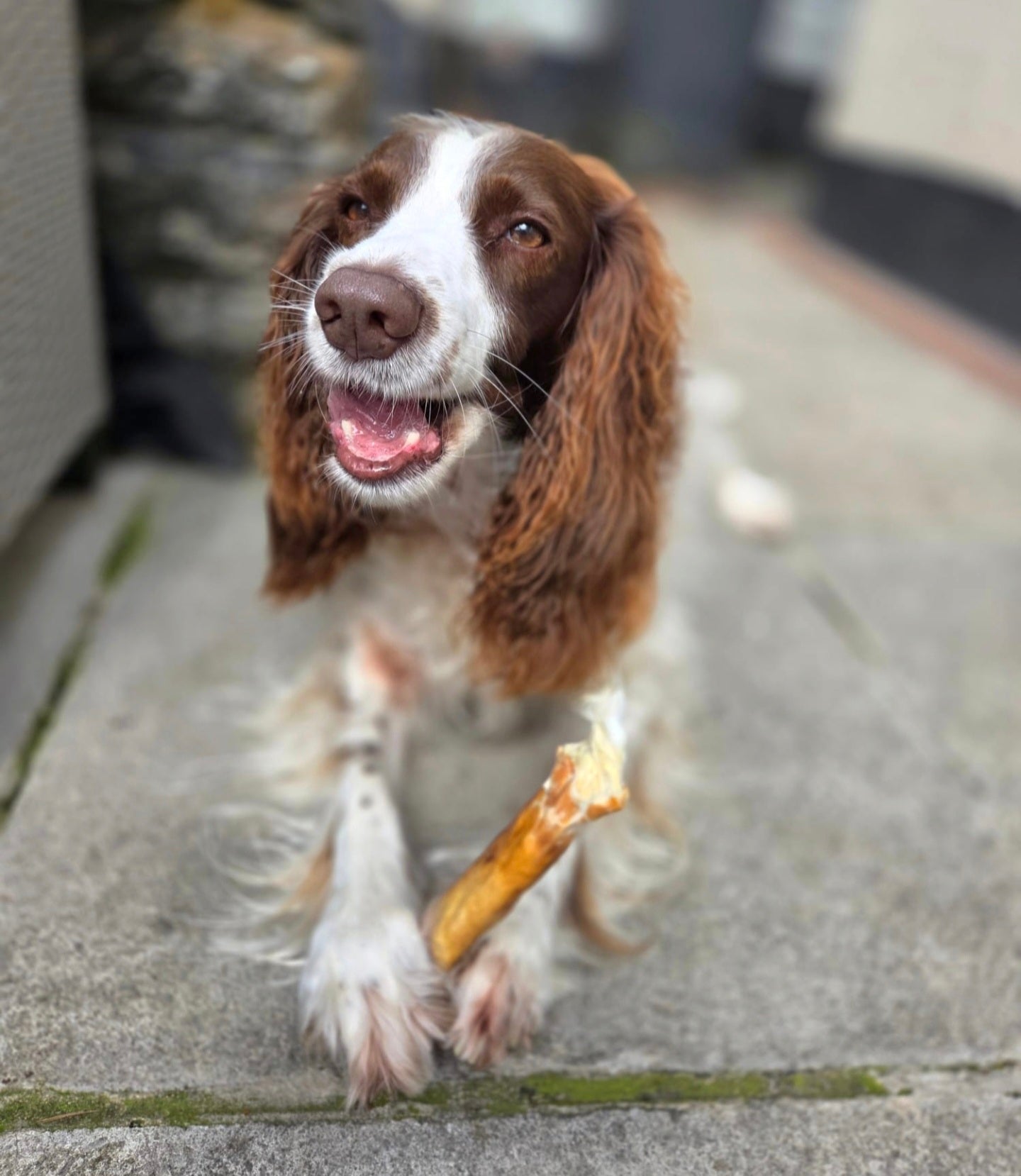 Chewllagen chicken roll