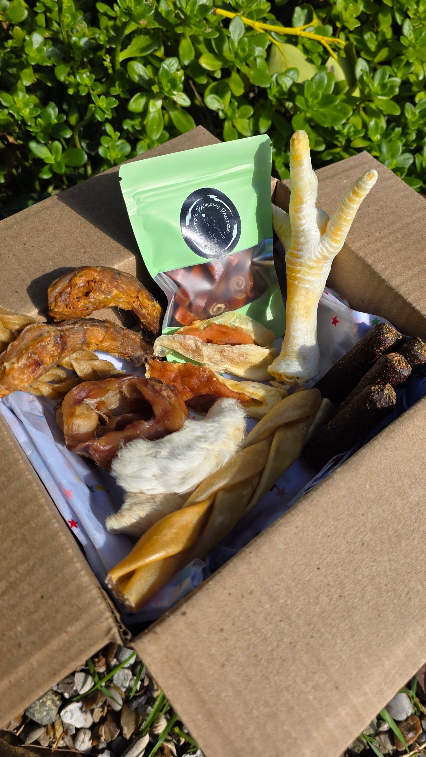 Puppy Delights bundle