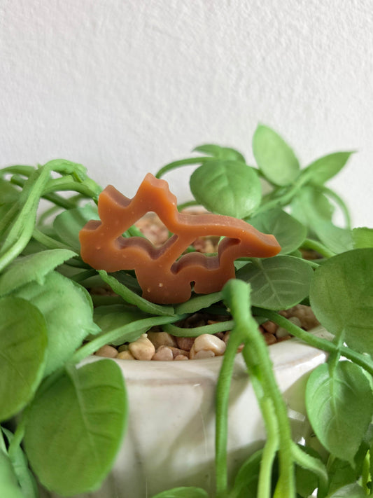 Trudy the Triceratops - Chicken 🦖