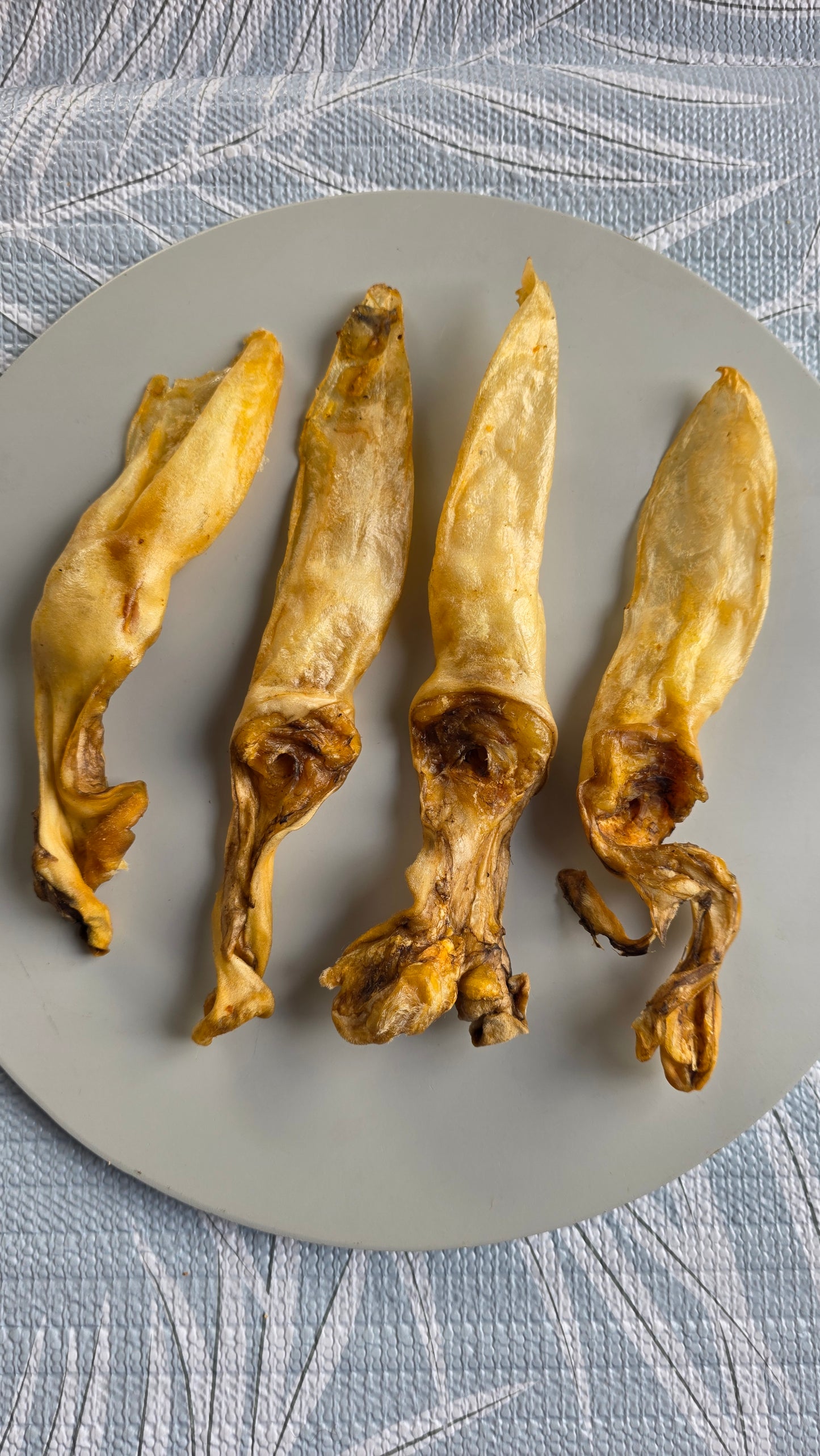 Rabbit ears (no hair)