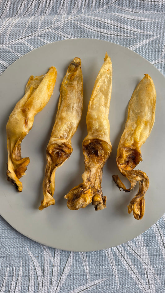 Rabbit ears (no hair)