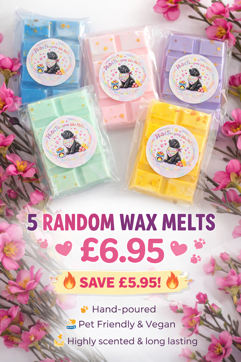 🛍 THE FRIDAY FETCH DEALS 🐾