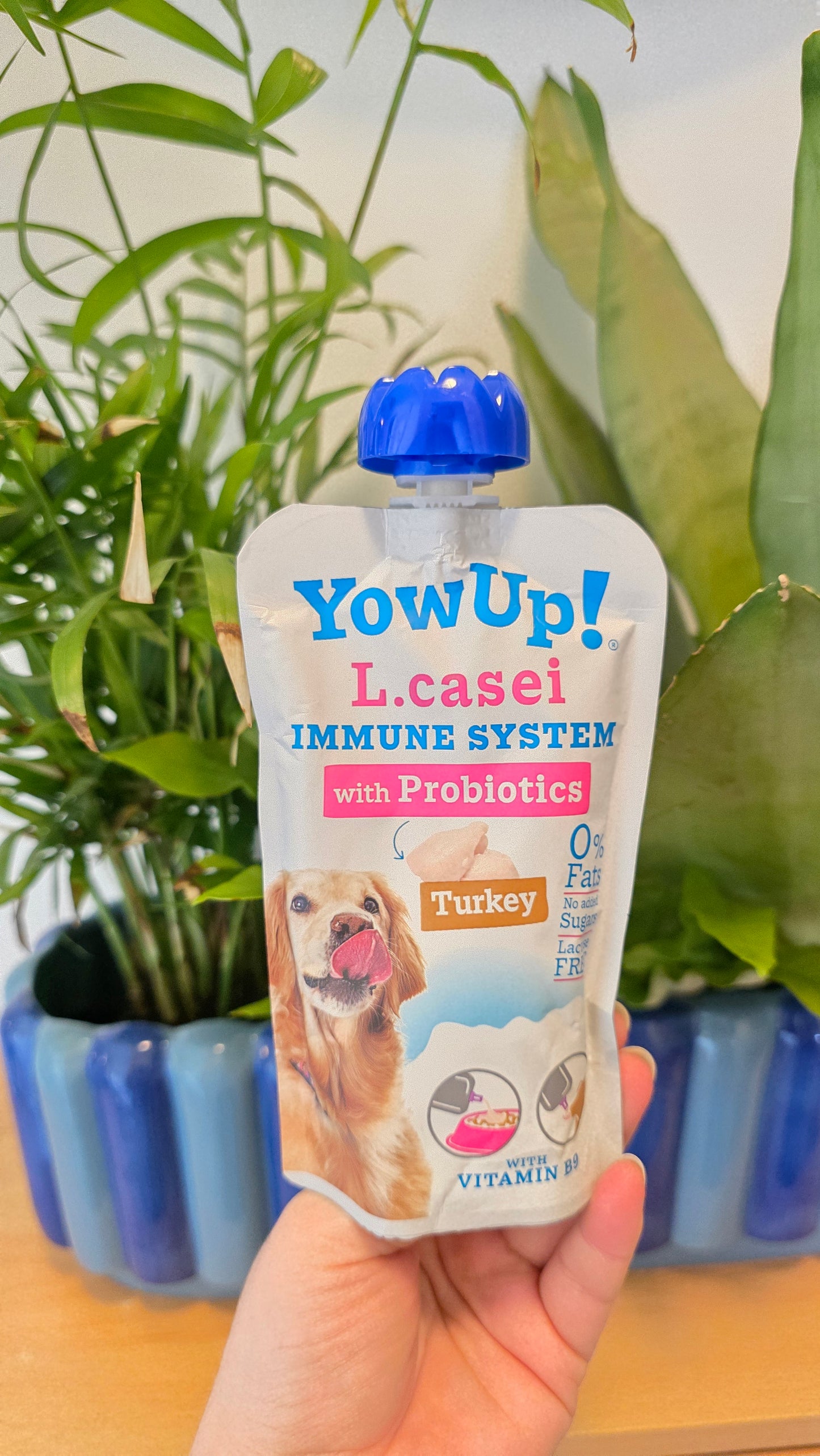 Yow Up L.Casei Probiotics Turkey