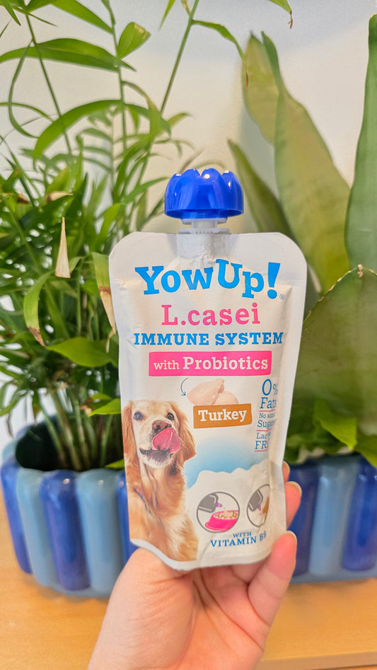 Yow Up L.Casei Probiotics Turkey