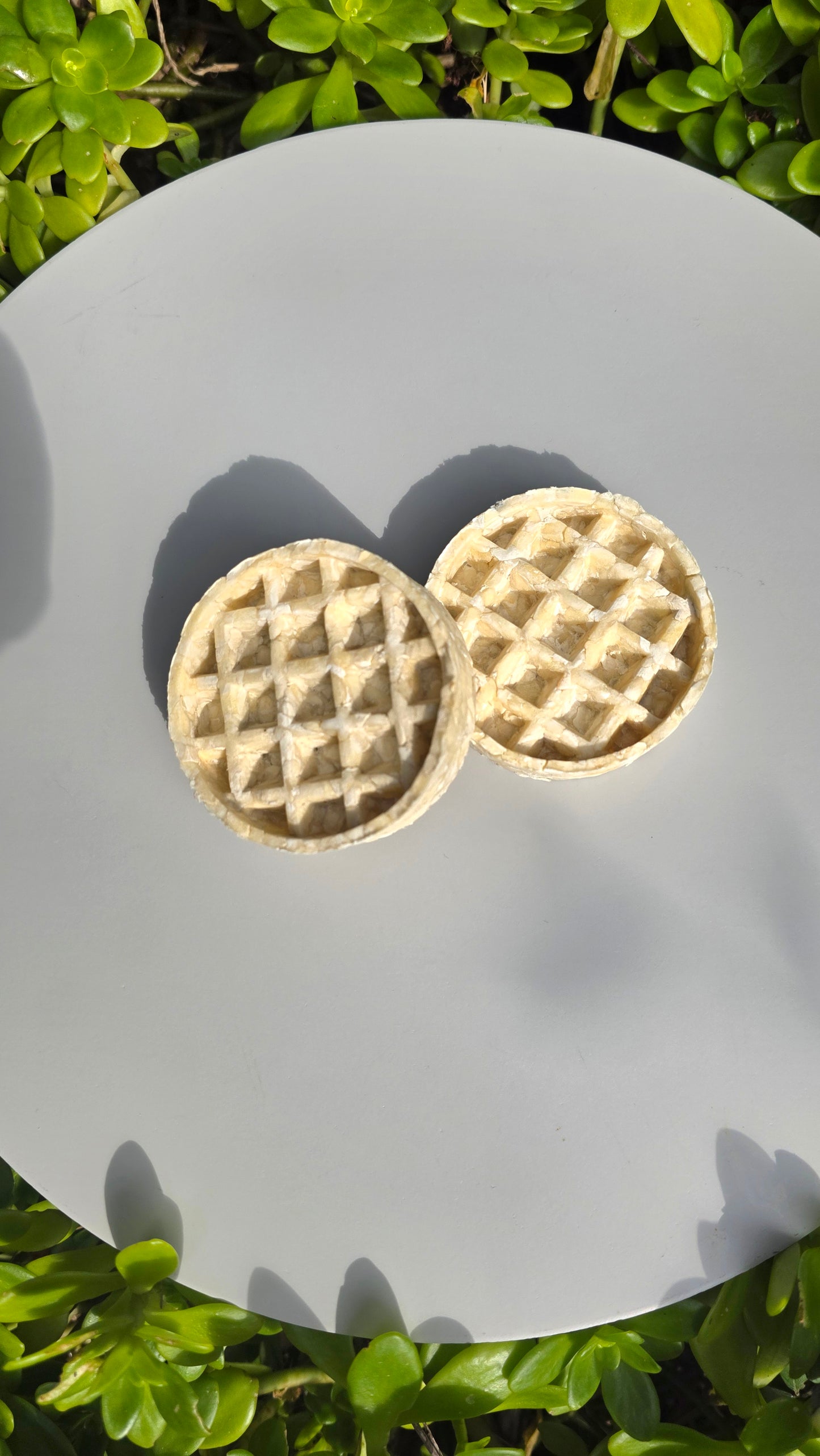 Buffalo collagen waffle x1